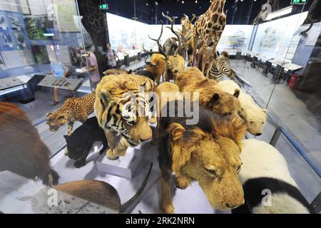 Bildnummer: 53228380  Datum: 28.07.2009  Copyright: imago/Xinhua (090728) -- HANGZHOU, July 28, 2009 (Xinhua) -- The photo taken on July 27, 2009 shows some animal specimens exhibited in the newly-built Natural History Museum of Zhejiang Province. The West Lake Cultural Plaza, consisting of the new Zhejiang Science Museum with over 300 items on show and Zhejiang Natural History Museum with over 130,000 items on show, will be open to the public on July 29. (Xinhua/Li Zhong) (zsc) #(8)CHINA-ZHEJIANG-WEST LAKE CULTURAL PLAZA (CN)  PUBLICATIONxNOTxINxCHN  Ausstellung China kbdig xsp  2009 quer  o0 Stock Photo