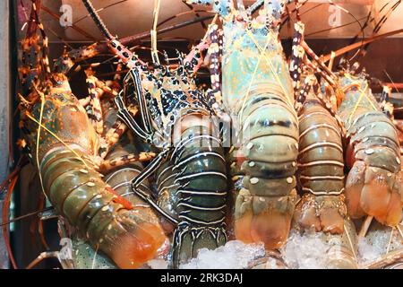 Gifts of the sea (Lobsters from South china sea). Various seafood in the markets of Southeast Asia, the so-called 'wet markets'. Thailand Stock Photo