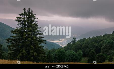 Wunderschöne Aussicht auf die so genannte „Route des cretes“ in den französischen Vogesen, im Naturschutzgebiet „Ballons des Vogesen“ Stockfoto