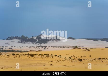 Die Pinnacles Desert im Nambung National Park Stockfoto