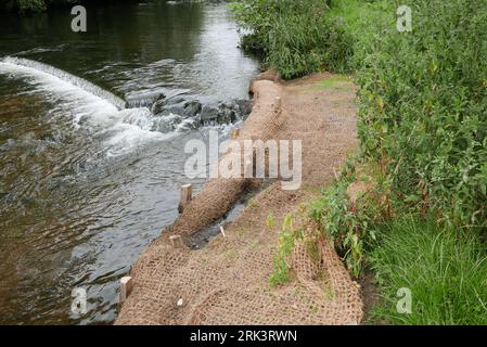 Anti-Erosion-Matten entlang des Flusses Wye. UK. 2023 Stockfoto