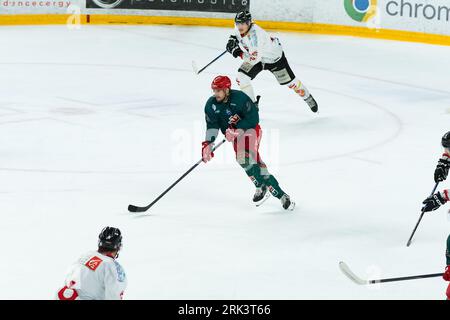 Cergy Pontoise, Frankreich, 22 août 2023, Aren'Ice, Match de préparation de Saison à la ligue Magnus, Jokers de Cergy vs Gothiques d'Amiens, A Chaoui, P2M. Stockfoto