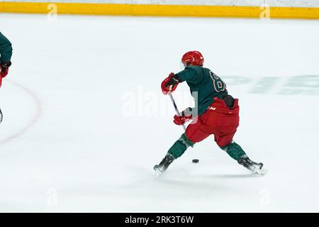 Cergy Pontoise, Frankreich, 22 août 2023, Aren'Ice, Match de préparation de Saison à la ligue Magnus, Jokers de Cergy vs Gothiques d'Amiens, A Chaoui, P2M. Stockfoto