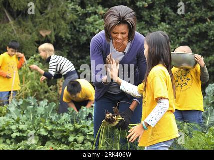 Bildnummer: 53562620  Datum: 29.10.2009  Copyright: imago/Xinhua (091029) -- WASHINGTON, Oct. 29, 2009 (Xinhua) -- U.S. first lady Michelle Obama gives a high-five to a student during the Fall Harvest of the White House Garden on the South Lawn of the White House in Washington, October 29, 2009. Michelle Obama here on Thursday hosted the Fall Harvest of the White House vegetable garden, sharing happiness of the bumper harvest with some elementary school students. (Xinhua/Zhang Yan) (4)US-WHITE HOUSE GARDEN- MICHELLE OBAMA-HARVEST PUBLICATIONxNOTxINxCHN People Politik soziales Engagement USA Sc Stock Photo