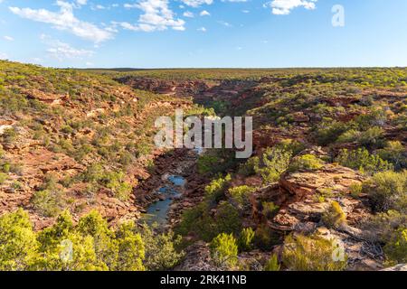 Z Bend im Kalbarri-Nationalpark Stockfoto