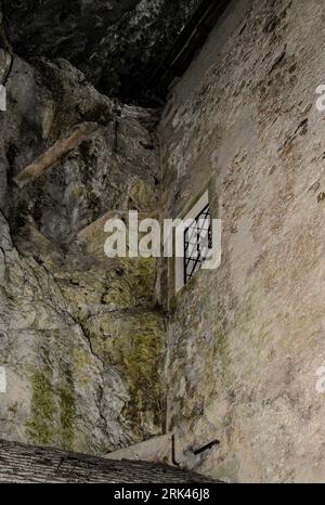 Mauern und Dach der mittelalterlichen Burg Predjama im Südwesten Sloweniens entspringen direkt von den rauen, aber feuchten Seiten der 123 Meter hohen natürlichen Kalksteinklippe und Höhle, in die sie gebaut wurde. Stockfoto