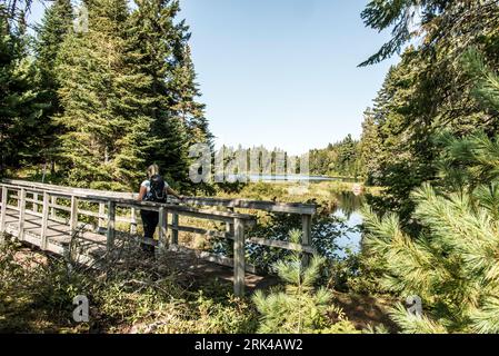 Mädchen wandern im Wald in der Nähe des Sees im La Mauricie National Park Quebec, Kanada an einem wunderschönen Tag. Stockfoto
