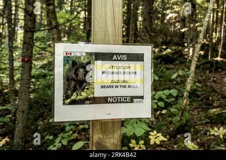 Warning sign telling hikers to be Bear Aware in La Mauricie National Park Quebec, Canada on a beautiful day. Stock Photo