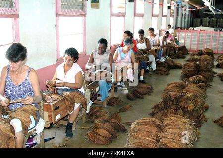 Bildnummer: 53627371  Datum: 26.11.2009  Copyright: imago/Xinhua (091126) -- HAVANA, Nov. 26, 2009 (Xinhua) -- Workers produce cigars at a factory in Havana, capital of Cuba, Nov. 26, 2009. Harvest season of tobacco has come in Cuba. It is estimated that this year s tobacco output in Cuba may reach 23000 tons, lower than 25300 tons of last year. Cuba is world famous for producing high-quality cigars made from its tobacco. (Xinhua/Arnaldo Santos) (zhs) (3)CUBA-TOBACCO-HARVEST PUBLICATIONxNOTxINxCHN Kuba Havanna Wirtschaft Landwirtschaft Tabak Tabakproduktion Herstellung kbdig xub 2009 quer prem Stock Photo