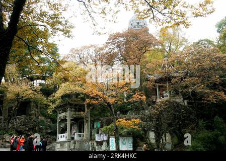 Bildnummer: 53632404  Datum: 28.11.2009  Copyright: imago/Xinhua (091128) -- SUZHOU, Nov. 28, 2009 (Xinhua) -- Huqiu Scenic Area attracts a big number of tourists with golden gingko leaves and rosy maple trees in winter of Suzhou City, east China s Jiangsu Province, Nov. 28, 2009. (Xinhua/Hang Xingwei) (zsc) (2)CHINA-SUZHOU-HUQIU-WINTER SCENERIES (CN) PUBLICATIONxNOTxINxCHN Jahreszeit Herbst kbdig xsk 2009 quer o0 Baum    Bildnummer 53632404 Date 28 11 2009 Copyright Imago XINHUA  Suzhou Nov 28 2009 XINHUA Huqiu Scenic Area attracts a Big Number of tourists With Golden Gingko Leaves and Rosy M Stockfoto