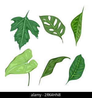 Six green leaf isolated on white background. Stock Vektor