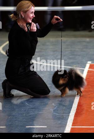 Bildnummer: 53663506  Datum: 12.12.2009  Copyright: imago/Xinhua Photo taken on Dec. 12, 2009 shows a spitz dog during the CACIB International Dog Show held in Sofia, Bulgaria. (Xinhua/Velko Angelov) (yc) (3)BULGARIA-SOFIA-DOG SHOW PUBLICATIONxNOTxINxCHN Tiere Hund Hundeschau kbdig xmk 2009 hoch kurios Komik    Bildnummer 53663506 Date 12 12 2009 Copyright Imago XINHUA Photo Taken ON DEC 12 2009 Shows a Spitz Dog during The CACIB International Dog Show Hero in Sofia Bulgaria XINHUA  Angelov  3 Bulgaria Sofia Dog Show PUBLICATIONxNOTxINxCHN Animals Dog Dog Show Kbdig xmk 2009 vertical funny com Stock Photo