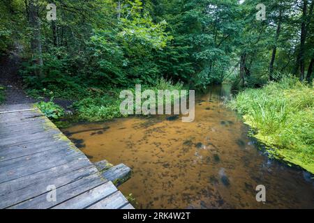 Wooden footbridge over small, calm, stream. Amazing, clean water and sandy bottom of the river. Green forest and wild overgrown riverbank in the backg Stock Photo