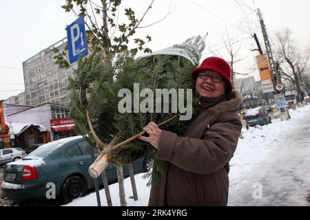 Bildnummer: 53681411 Datum: 21.12.2009 Copyright: imago/Xinhua (091221) -- BUKAREST, 21. Dezember 2009 (Xinhua) -- ein Mitarbeiter trägt einen immergrünen Baum auf einem Weihnachtsbaummarkt in Bukarest, Hauptstadt Rumäniens, 20. Dezember 2009. Nur noch wenige Tage vor Weihnachten sind die Verkäufe von Bäumen in vollem Gange. (Xinhua/Gabriel Petrescu) (lyi) (1)RUMÄNIEN-BUKAREST-CHRISTMAS-TREES PUBLICATIONxNOTxINxCHN BUKAREST Weihnachten Weihnachtsbaum kaufen kbdig xub 2009 quer premiumd o0 Personen Schnee Winter Bildnummer 53681411 Datum 21 12 2009 Copyright Imago XINHUA Bukarest DEC 21 2009 XINHUA zu beschäftigen Stockfoto