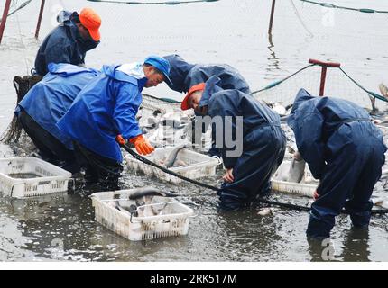 Bildnummer: 53686813 Datum: 23.12.2009 Copyright: imago/Xinhua (091224) -- JIUJIANG, 24. Dezember 2009 (Xinhua) -- Fischer ziehen die Netze voller Fische im Nanhu-See in Jiujiang, Provinz Jiangxi im Südosten Chinas, 23. Dezember 2009. Der lokale Markt für aquatische Produkte steht vor einem reichlichen Angebot, da die lokalen Seen in diesem Jahr eine gute Ernte erleben. (Xinhua/Hu Guolin) (ly) (1)CHINA-JIUJIANG-FISH-HARVEST (CN) PUBLICATIONxNOTxINxCHN Fischer Arbeitswelten Land Leute Fischerei kbdig xsk 2009 quer o0 Wirtschaft Fischerei Bildnummer 53686813 Datum 23 12 2009 Copyright Imago XINHUA Jiujiang DEC 24 2009 XIN Stockfoto