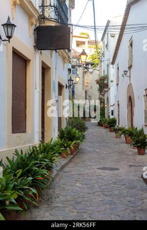 Mit Grünflächen verzierte Kopfsteinpflasterstraße in Tossa de Mar, Katalonien Stockfoto