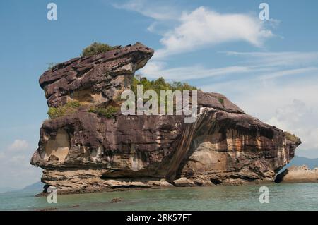 Dramatische Sandsteinstapel zeichnen die Küstenlandformen des Bako-Nationalparks, Kuching, Sarawak, Malaysian Borneo aus Stockfoto