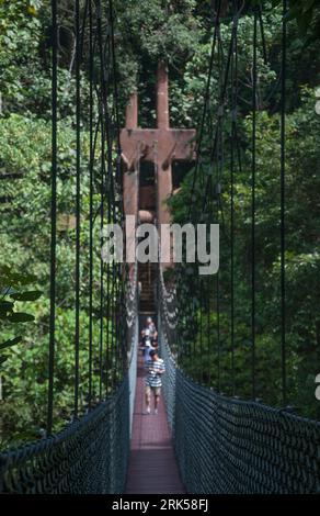 Der Belalong Canopy Walkway erstreckt sich über 5 miteinander verbundene Türme, die sich 43 m über dem unberührten tropischen Regenwald des Ulu Temburong National Park, Brunei, Borneo, erheben Stockfoto