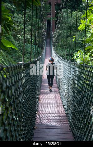 Der Belalong Canopy Walkway erstreckt sich über 5 miteinander verbundene Türme, die sich 43 m über dem unberührten tropischen Regenwald des Ulu Temburong National Park, Brunei, Borneo, erheben Stockfoto