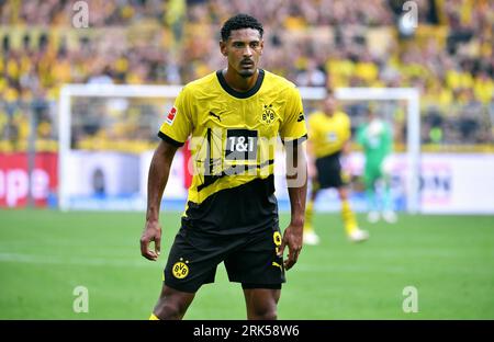 Fussball, Bundesliga, Deutschland, Herren, Saison 2023/2024, 1. Spieltag, Signal Iduna Park Dortmund: Bor. Dortmund - 1. FC Kšln 1:0; Sebastien Haller (BVB). Aktion, Einzelbild. DFB/DFL-VORSCHRIFTEN VERBIETEN DIE VERWENDUNG VON FOTOS ALS BILDSEQUENZEN UND/ODER QUASI-VIDEO Stockfoto