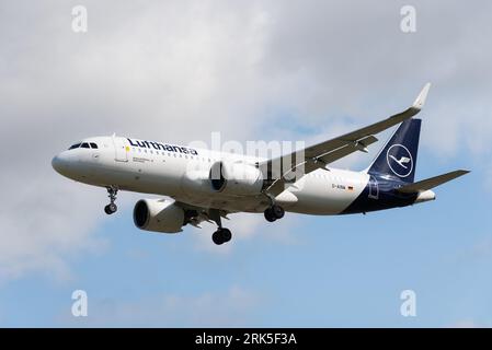 Lufthansa Airbus A320-271N NEO-Jet-Flugzeug D-AINW im Finale landen am London Heathrow Airport, UK. Genannt Groß-Gerau Stockfoto