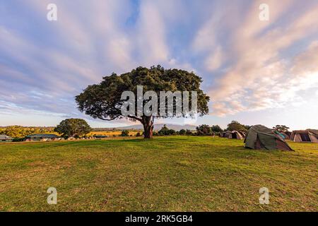 Ein malerischer Campingplatz in der Nähe eines Baumes bei Sonnenuntergang Stockfoto