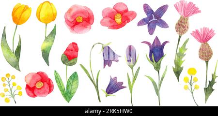 Set aus einfachen Blumen. Japanische Kamelien, Tulpen, Glockenblumen, Disteln. Blumenklipsel für einfaches und elegantes Design. Aquarellillustration. Stock Vektor