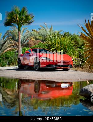Ein leuchtend roter Ferrari Roma Sportwagen aus dem Jahr 2021 in der Nähe des Teichs vor üppigen grünen Palmen Stockfoto