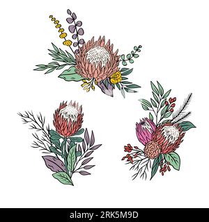 Colorful tropical protea flowers and leaves bouquets set Stock Vector