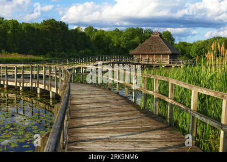 A tranquil wooden boardwalk stretches across a peaceful body of water with a hut in the background Stockfoto