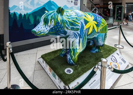 Family-friendly bear trail in Leeds with lots of colourful bears around Leeds City Centre August 2023. Stock Photo