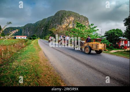 Daylights and tourist in a road into the mountains riding in a wagon on a cloudy morning they look happy, bulls are the ones moving the wagons. Stock Photo