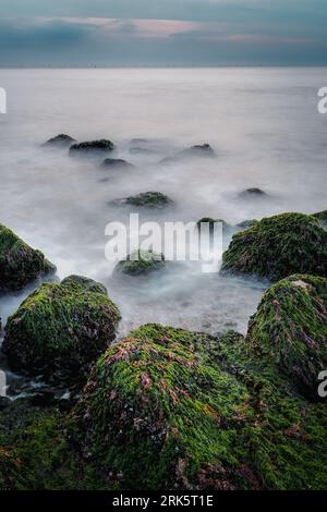 Lebhafter Sonnenuntergang an einem Strand mit einer moosbedeckten Felsformation im Vordergrund Stockfoto