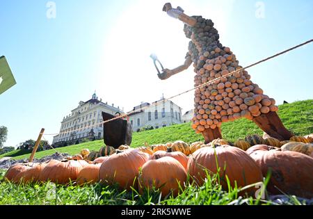 24. August 2023, Baden-Württemberg, Ludwigsburg: Im Rahmen einer Kürbisausstellung wird im Park im Blühenden Barock in Ludwigsburg eine Figur aus Kürbissen aufgestellt. (Zur dpa „Hunderttausende Kürbisse schmücken den Park in Ludwigsburg wieder“) Foto: Bernd Weißbrod/dpa Stockfoto