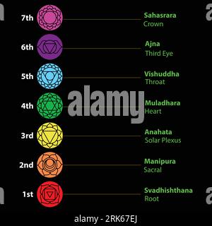 Sieben Chakras mit sieben Chakra-Symbolen mit Namen. Das sind Religions-, Philosophie- und Spiritualitätssymbole. Vektorillustration. Im Hintergrund Stock Vektor