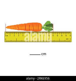 Längenmessung in Zentimetern mit dem Lineal. Arbeitsblatt zur Entwicklung des Bildungswesens. Spiel für Kinder. Puzzle für Kinder. Vektordarstellung. Cartoon-Style Stock Vektor