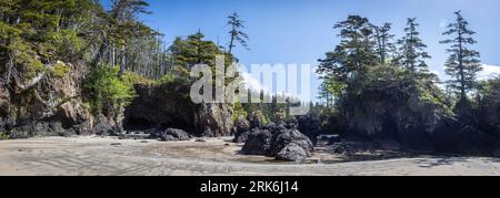 Sea stacks on the beach of San Josef Bay on Vancouver Island, BC. Stock Photo