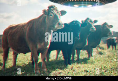 Farm abduction, spaceship and UFO with cow in field for fantasy, science fiction and alien invasion. Extraterrestrial, travel and flying saucer beam Stock Photo