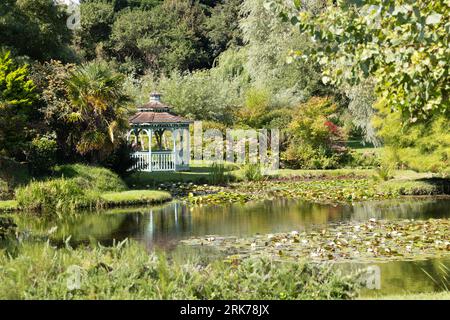 Ein Blick in den Bennetts Water Gardens mit Seerosensammlungen; Chickerell, Weymouth Dorset UK. Dorset Tourismus. Stockfoto