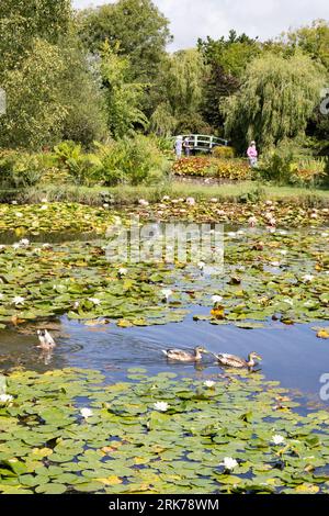 Touristen, die einen sonnigen Tag im Sommer genießen, Bennetts Water Gardens, Chickerell, Weymouth Dorset UK Stockfoto