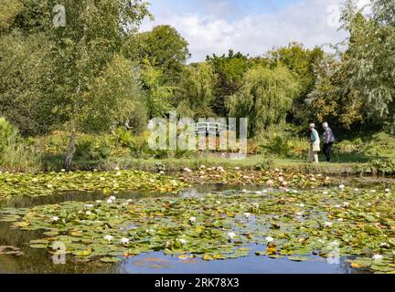 Besucher der Bennetts Water Gardens, eines Seerosengartens mit mehreren Seerosenteichen; im Sommer Weymouth Dorset UK. Dorset Tourismus Stockfoto