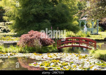 Besucher der Bennetts Water Gardens, eines Seerosengartens mit mehreren Seerosenteichen; im Sommer Weymouth Dorset UK. Dorset Tourismus Stockfoto