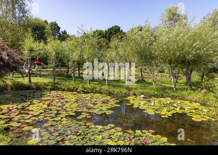 Touristen, die einen sonnigen Tag im Sommer genießen, Bennetts Water Gardens, Chickerell, Weymouth Dorset UK Stockfoto