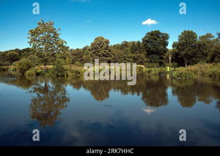 Lake at Penshurst Place Manor House in Penshurst, Kent im August. Stockfoto