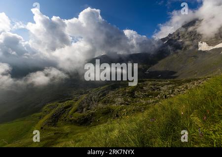 Ein alpiner Hang mit Blick auf die felsigen Türme und Schneefelder des Chaukhi-Massivs (Dusheti District, Georgia), teilweise von tief hängenden Wolken umhüllt. Die Granitgipfel von Chaukhi (ჩაorax) mit einer Höhe von über 3.000 Metern gelten als die „georgischen Dolomiten“ und sind ein Ziel für alpine Klettertouren; im Vordergrund blühende Alpgräser und Kräuter auf etwa 2.600 Metern Höhe. Gemeinde Dusheti, Mzcheta-Mtianeti, 1800, Georgien Stockfoto