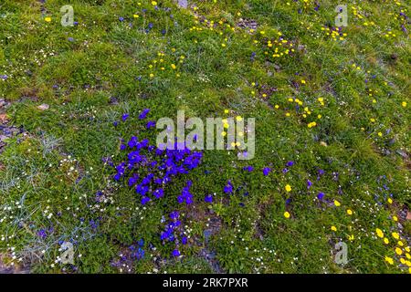 Dusheti, Georgia. Wandern Sie über den Chaukhi Pass Stockfoto