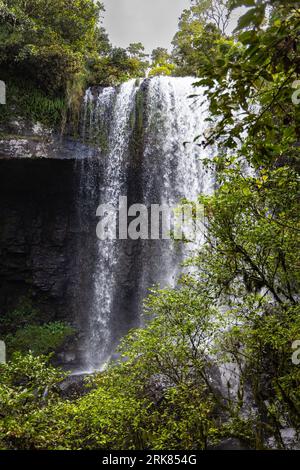 Thundering cascade on the Waterfalls Circuit, framed by dense vegetation & with a viewing platform, Zillie Falls Stock Photo