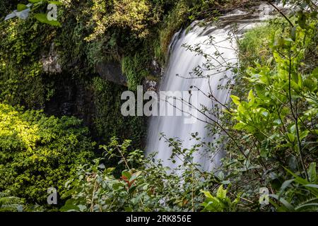 Thundering cascade on the Waterfalls Circuit, framed by dense vegetation & with a viewing platform, Zillie Falls. Stock Photo