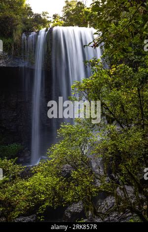 Thundering cascade on the Waterfalls Circuit, framed by dense vegetation & with a viewing platform, Zillie Falls. Stock Photo