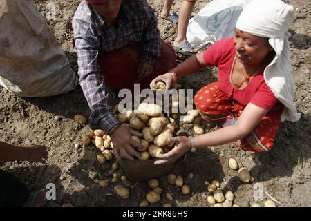 Bildnummer: 53975333 Datum: 24.04.2010 Copyright: imago/Xinhua (100425) -- KATHMANDU, April 25 (Xinhua) -- nepalesische Bauern ernten Potatos auf einem Feld in Jageta, 10 Kilometer östlich von Kathmandu, Hauptstadt Nepals, 24. April 2010. (Xinhua/Bimal Gautam) (gxr) (6)NEPAL-KATHMANDU-POTATO-Harvest PUBLICATIONxNOTxINxCHN Gesellschaft Wirtschaft Landwirtschaft kbdig xmk 2010 quer o0 Ernte, Kartoffel, Kartoffelernte, Erntehelfer, Arbeitswelten Bildnummer 53975333 Datum 24 04 2010 Copyright Imago XINHUA A-Land Kathmandu April 25 XINHUA-Erntehelfer IN OSTKARTOFFEL Stockfoto